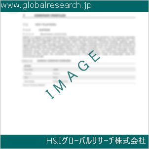 グローバルリサーチ調査資料のイメージ